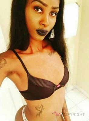 Lauren Sugar Dallas, Texas Escort, , Verified Adult Service Provider, Companion in United States | 1