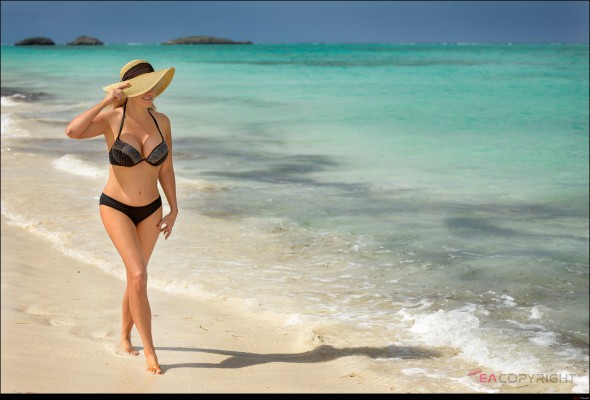 Alysha Tulip San Francisco, California Escort, , Verified Adult Service Provider, Companion in United States | 3