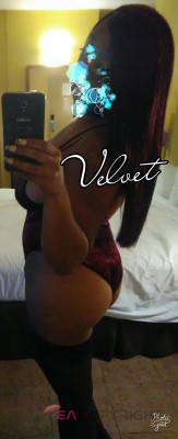 Velvet the Doll Nashville-Davidson, Tennessee Escort, , Verified Adult Service Provider, Companion in United States | 3