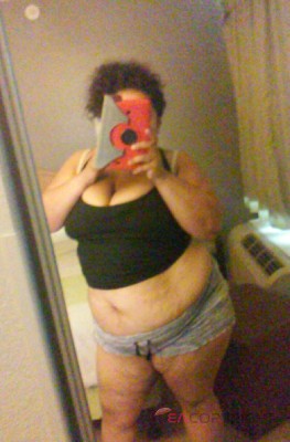 Honey Boxx Houston, Texas Escort, , Verified Adult Service Provider, Companion in United States | 2