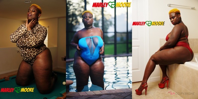 Marley Moore Baltimore, Maryland Escort, , Verified Adult Service Provider, Companion in United States | 2