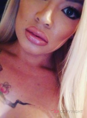 KatieB Reno, Nevada Escort, , Verified Adult Service Provider, Companion in United States | 1