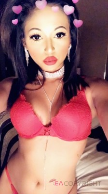 DiamondXXX Los Angeles, California Escort, , Verified Adult Service Provider, Companion in United States | 4