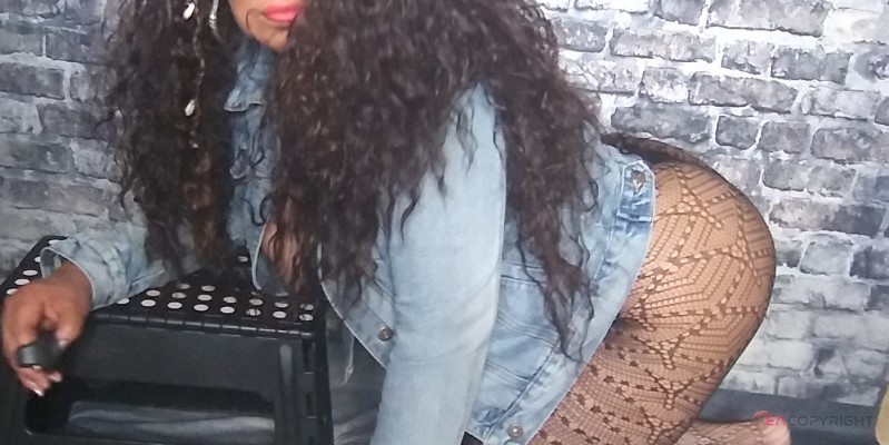 Exotic Kat Los Angeles, California Escort, , Verified Adult Service Provider, Companion in United States | 1