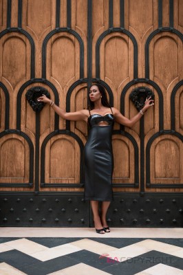 TS Rachel Smithe Chicago, Illinois Escort, BDSM, Massage, Verified Adult Service Provider, Companion in United States | 15