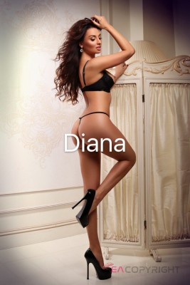 TopDiana San Francisco, California Escort, , Verified Adult Service Provider, Companion in United States | 5