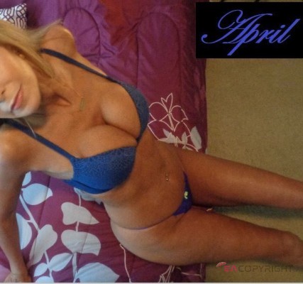 April Dfw Dallas, Texas Escort, , Verified Adult Service Provider, Companion in United States | 2