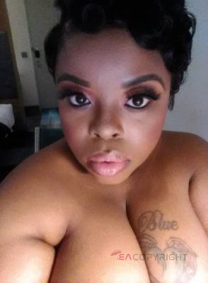 Premadonna Washington DC Escort, , Verified Adult Service Provider, Companion in United States | 1