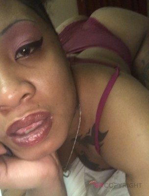 KittyCatt Chicago, Illinois Escort, , Verified Adult Service Provider, Companion in United States | 2