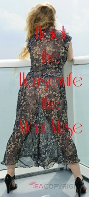 Heidi the Housewife Tampa, Florida Escort, , Verified Adult Service Provider, Companion in United States | 3