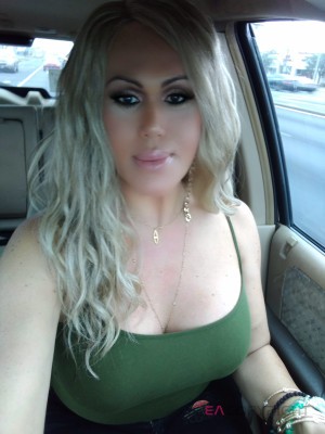 VanessaP Tampa, Florida Escort, , Verified Adult Service Provider, Companion in United States | 3