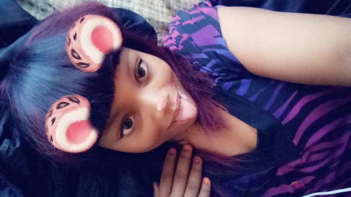 TREASURE STAR Chicago, Illinois Escort, , Verified Adult Service Provider, Companion in United States | 4