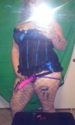 SexyHarley San Jose, California Escort, , Verified Adult Service Provider, Companion in United States | 5