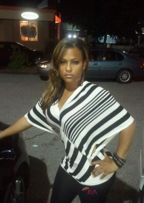 Michelle3 Albany, New York Escort, , Verified Adult Service Provider, Companion in United States | 1