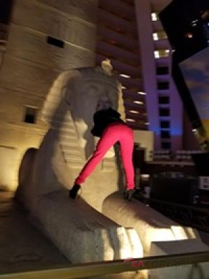 Brianna bailey Phoenix, Arizona Escort, , Verified Adult Service Provider, Companion in United States | 3