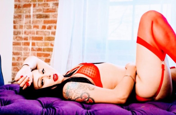 Alexis Pink San Jose, California Escort, , Verified Adult Service Provider, Companion in United States | 4