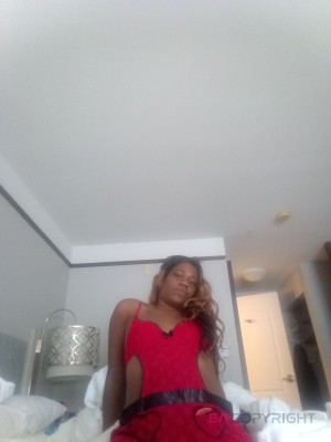 Mini Saint Louis, Missouri Escort, , Verified Adult Service Provider, Companion in United States | 5