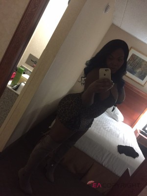Ts Kim Pumper Dallas, Texas Escort, , Verified Adult Service Provider, Companion in United States | 2