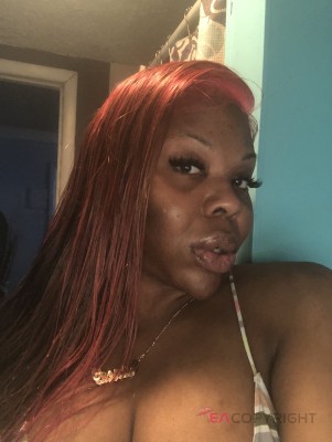 Ts Kim Pumper Dallas, Texas Escort, , Verified Adult Service Provider, Companion in United States | 3