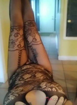 Joey Tampa, Florida Escort, , Verified Adult Service Provider, Companion in United States | 1