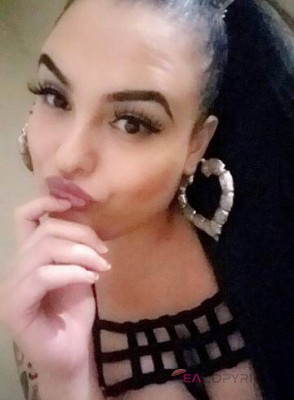 Kitty23 Milwaukee, Wisconsin Escort, Pornstar, BDSM, DUO, Couple, Verified Adult Service Provider, Companion in United States | 1