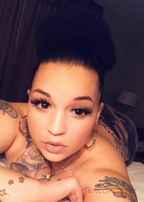 Dream Doll Dallas, Texas Escort, , Verified Adult Service Provider, Companion in United States | 2
