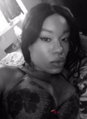 Nina_ Dallas, Texas Escort, Pornstar, Massage, Verified Adult Service Provider, Companion in United States | 1