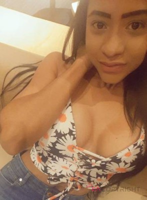 paola Tampa, Florida Escort, Pornstar, Massage, Verified Adult Service Provider, Companion in United States | 1