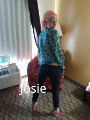 Josie Detroit, Michigan Escort, Pornstar, Verified Adult Service Provider, Companion in United States | 2