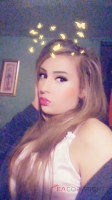 Bellaroses Detroit, Michigan Escort, Massage, Verified Adult Service Provider, Companion in United States | 2