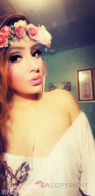 Bellaroses Detroit, Michigan Escort, Massage, Verified Adult Service Provider, Companion in United States | 4