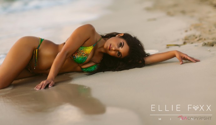 Ellie Foxx Miami, Florida Escort, , Verified Adult Service Provider, Companion in United States | 4