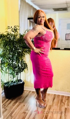 Noelle of Tampa  Tampa, Florida Escort, , Verified Adult Service Provider, Companion in United States | 11