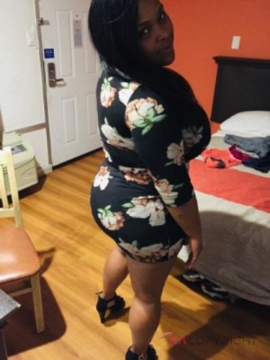 shyane Fort Worth, Texas Escort, Pornstar, Verified Adult Service Provider, Companion in United States | 3