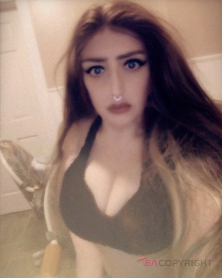 Taylor40 Evansville, Indiana Escort, , Verified Adult Service Provider, Companion in United States | 2