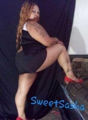 Sweet Sasha Las Vegas, Nevada Escort, , Verified Adult Service Provider, Companion in United States | 1