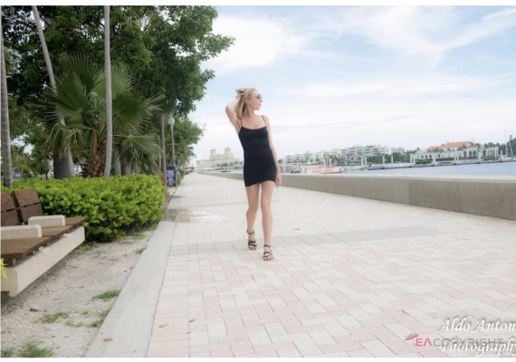 Farrah Monroe Fort Lauderdale, Florida Escort, , Verified Adult Service Provider, Companion in United States | 4