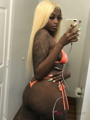 Brianna Dallas, Texas Escort, , Verified Adult Service Provider, Companion in United States | 3