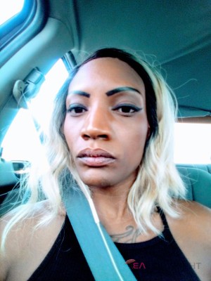 taedancer Denver, Colorado Escort, BDSM, Verified Adult Service Provider, Companion in United States | 3