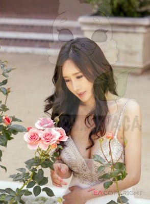 Airi-alpaca San Jose, California Escort, , Verified Adult Service Provider, Companion in United States | 1