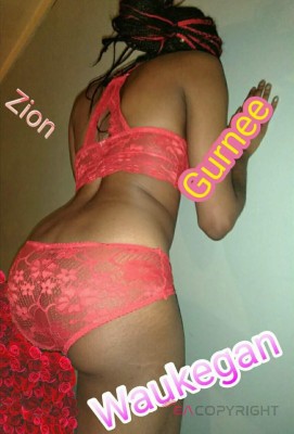 Missy 97 Waukegan, Illinois Escort, , Verified Adult Service Provider, Companion in United States | 3