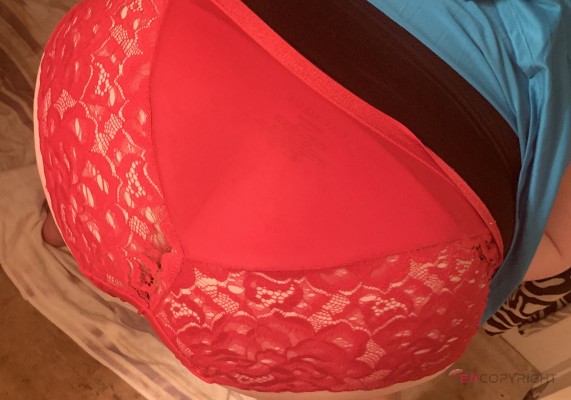 Trista Saint Louis, Missouri Escort, , Verified Adult Service Provider, Companion in United States | 3