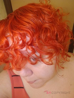 Doughnation86 Chicago, Illinois Escort, Pornstar, BDSM, Verified Adult Service Provider, Companion in United States | 4