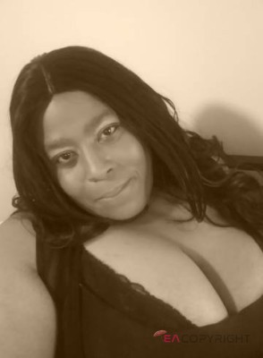 Mocadelight Santa Ana, California Escort, , Verified Adult Service Provider, Companion in United States | 1