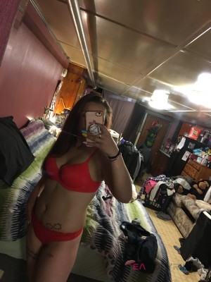 nicoleXX Springfield, Massachusetts Escort, , Verified Adult Service Provider, Companion in United States | 5