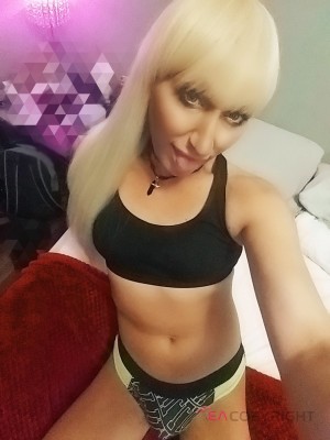 Kristen Star Denver, Colorado Escort, Pornstar, BDSM, Verified Adult Service Provider, Companion in United States | 3