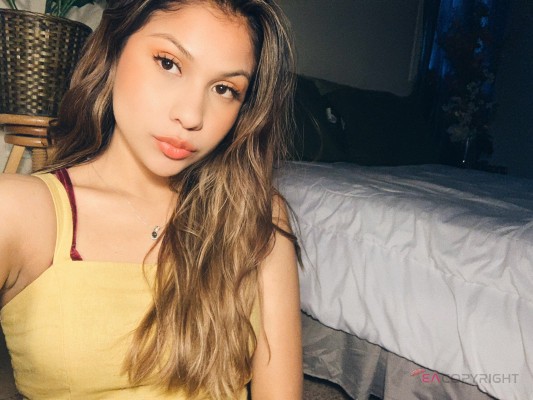 Sofia18 Charlotte, North Carolina Escort, , Verified Adult Service Provider, Companion in United States | 4