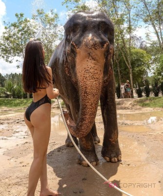 ANA. Kuala Lumpur Escort, Pornstar, Verified Adult Service Provider, Companion in Malaysia | 5
