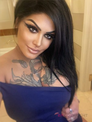 Devin D Las Vegas, Nevada Escort, , Verified Adult Service Provider, Companion in United States | 3
