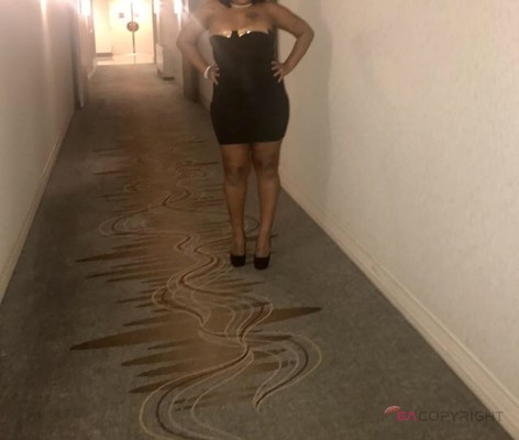 Nikki.. St. Louis, Missouri Escort, , Verified Adult Service Provider, Companion in United States | 2